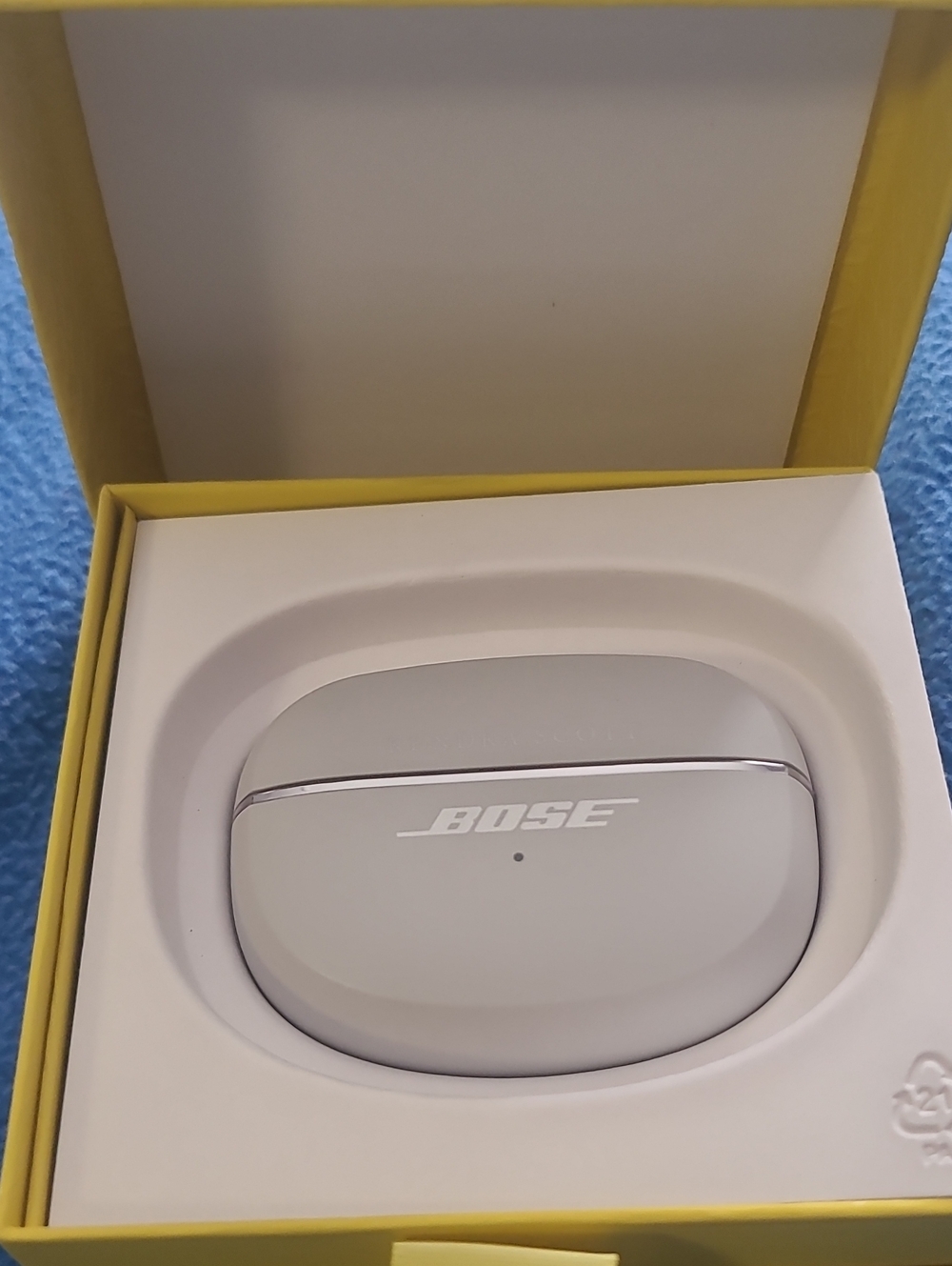 Bose Wireless Earbuds Charging Case — Light Gray with Chrome Accent